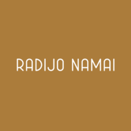 RADIJO NAMAI